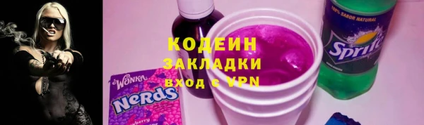 кокс Гатчина