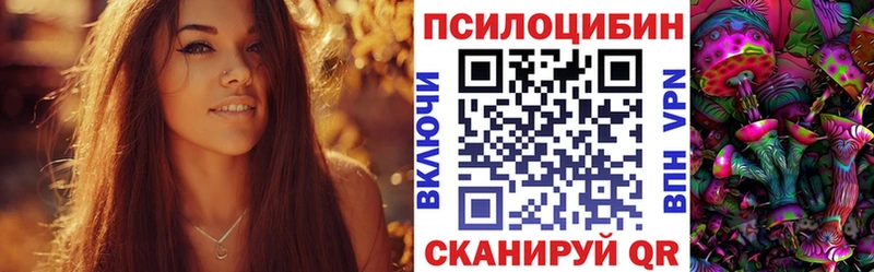OMG как войти Кольчугино Галлюциногенные грибы Psilocybe